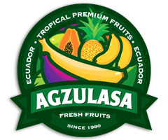 AGZULASA Logo